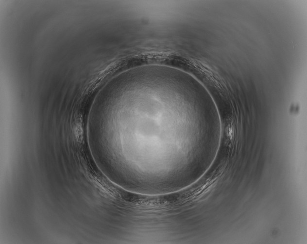 X0000091501252200708161451