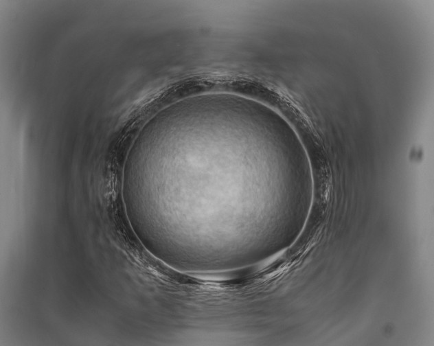 X0000091501253200708161451