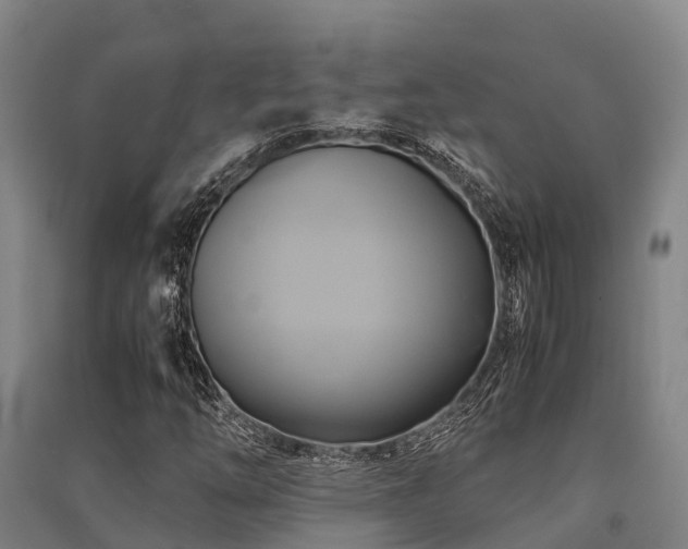 X0000091501254200708161451