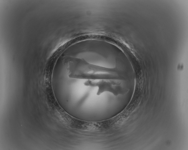 X0000091501255200708161451