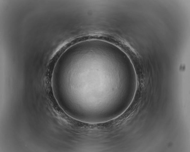 X0000091501256200708161451