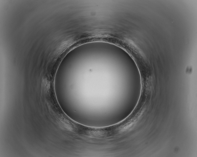 X0000091501257200708161451