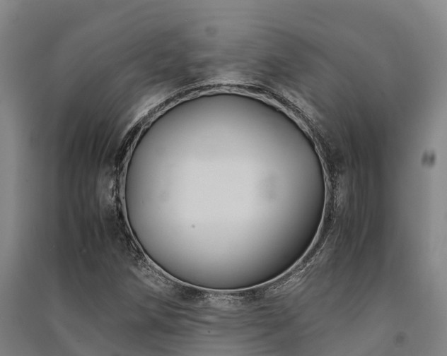 X0000091501258200708161451