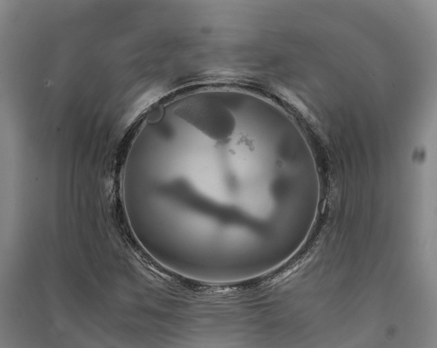 X0000091501259200708161451