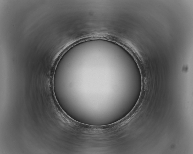 X0000091501260200708161451