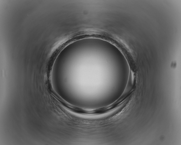 X0000091501261200708161451