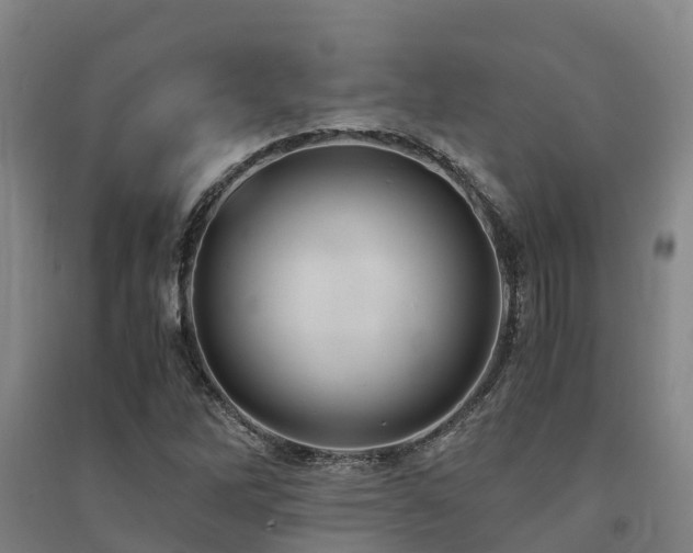 X0000091501262200708161451