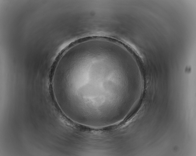 X0000091501264200708161451