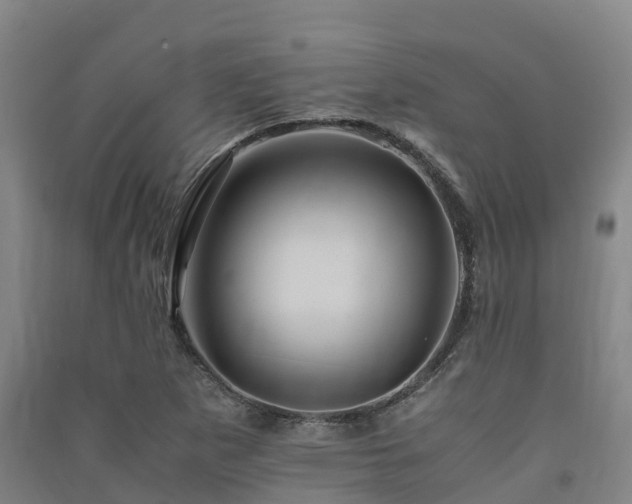 X0000091501265200708161451