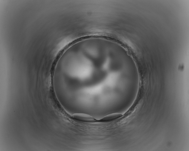 X0000091501267200708161451