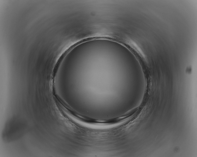 X0000091501268200708161451