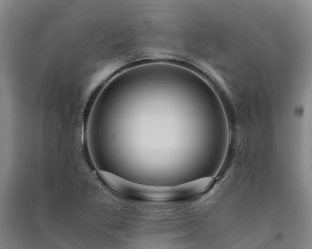 X0000091501269200708161451