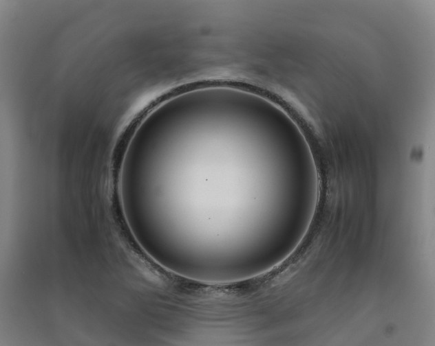 X0000091501270200708161451