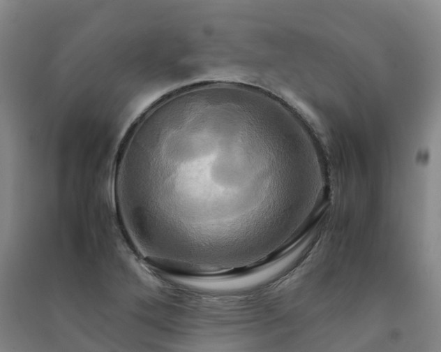 X0000091501272200708161451
