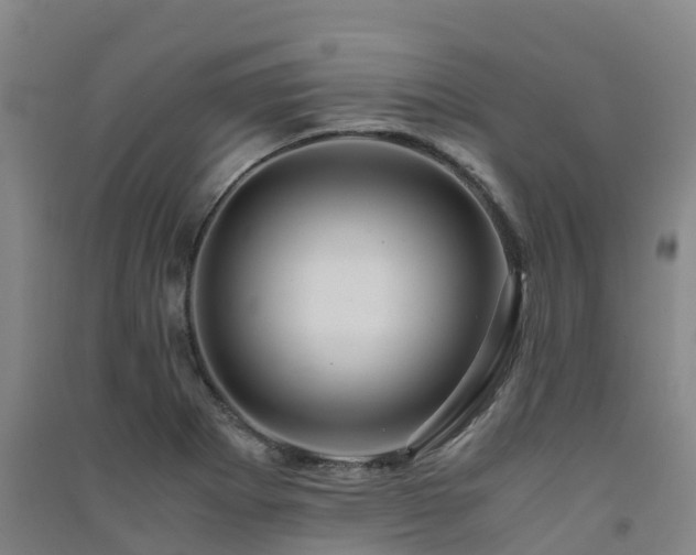 X0000091501273200708161451