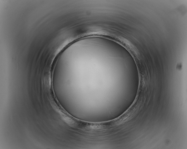 X0000091501274200708161451