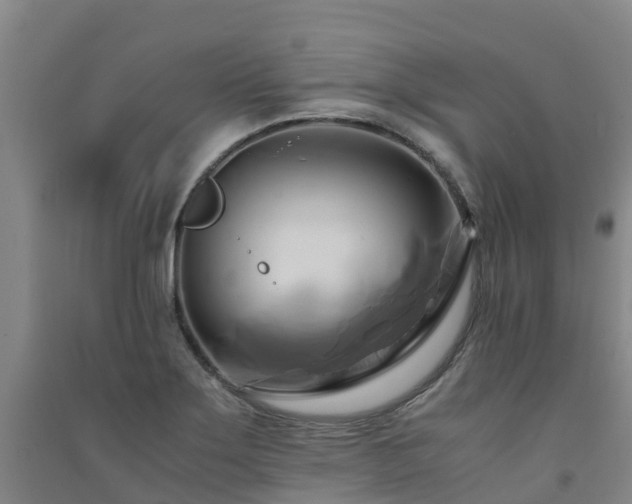 X0000091501275200708161451