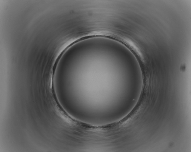 X0000091501276200708161451