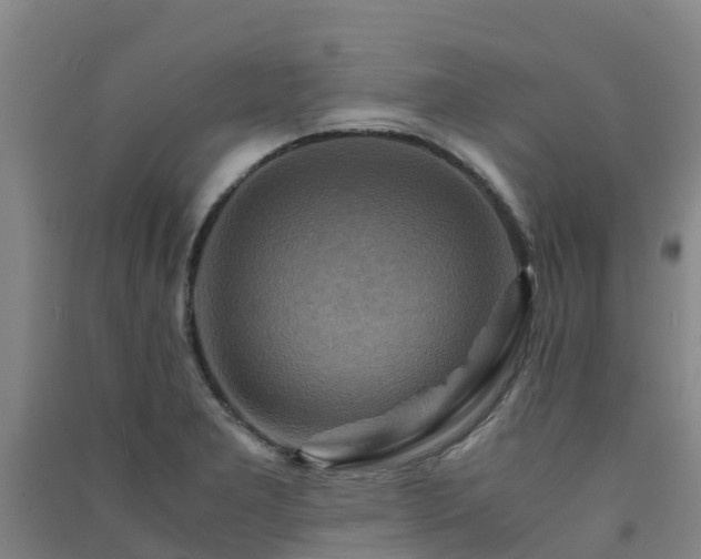 X0000091501277200708161451