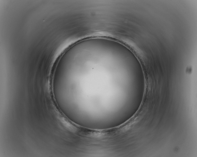 X0000091501278200708161451