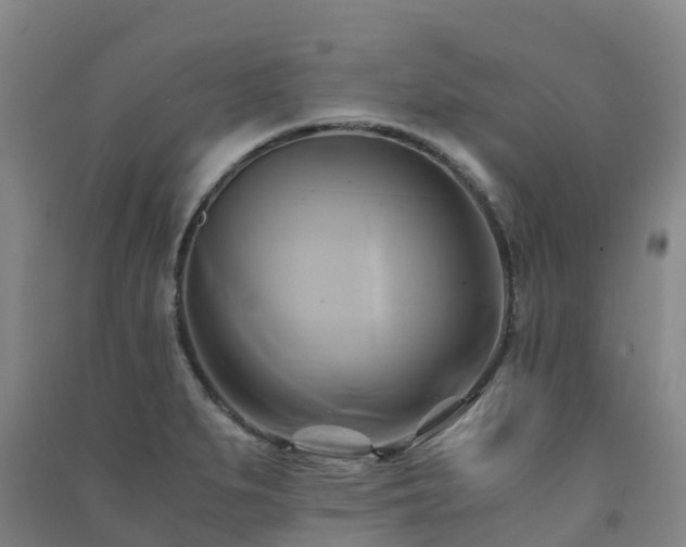 X0000091501279200708161451