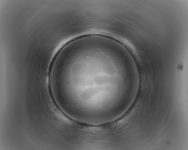 X0000091501280200708161451