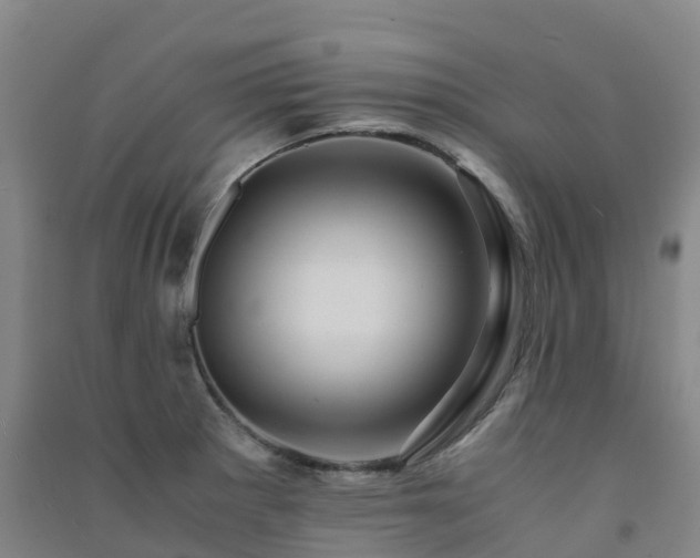 X0000091501281200708161451