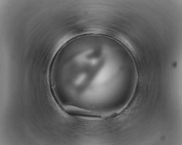 X0000091501283200708161451