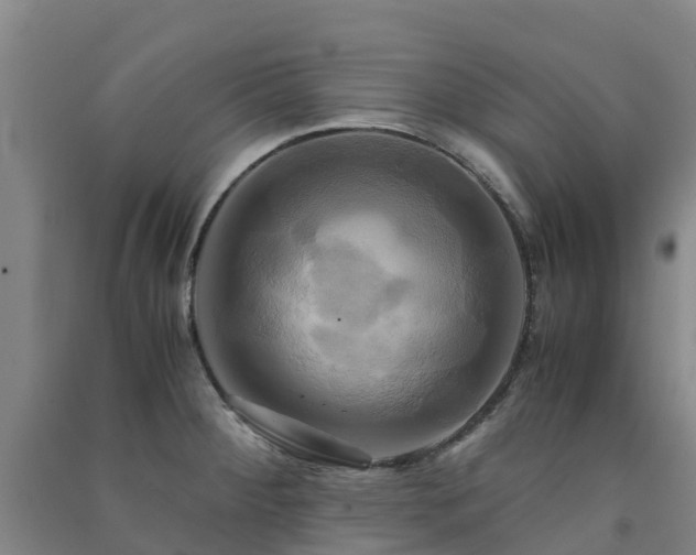 X0000091501284200708161451