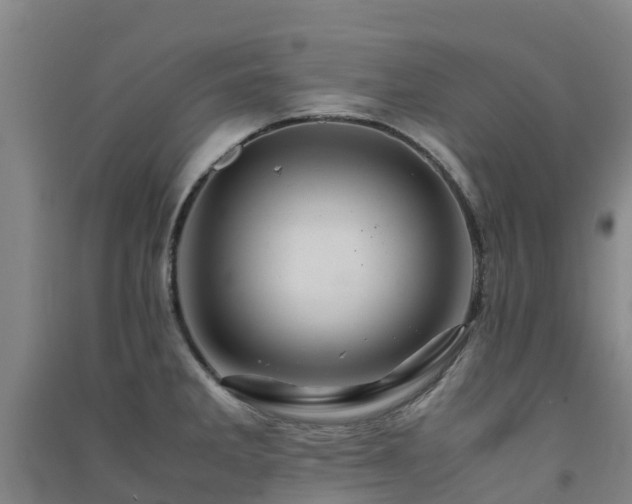 X0000091501285200708161451