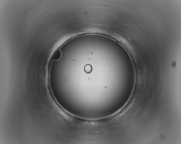 X0000091501286200708161451