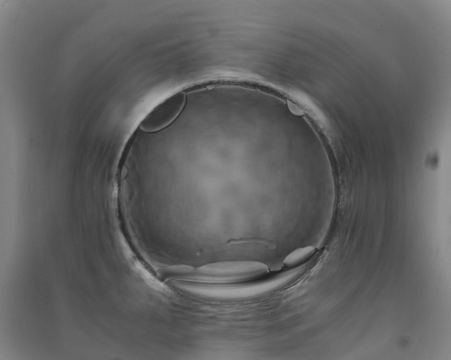 X0000091501287200708161451