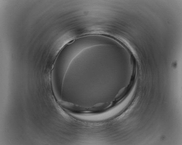 X0000091501289200708161451