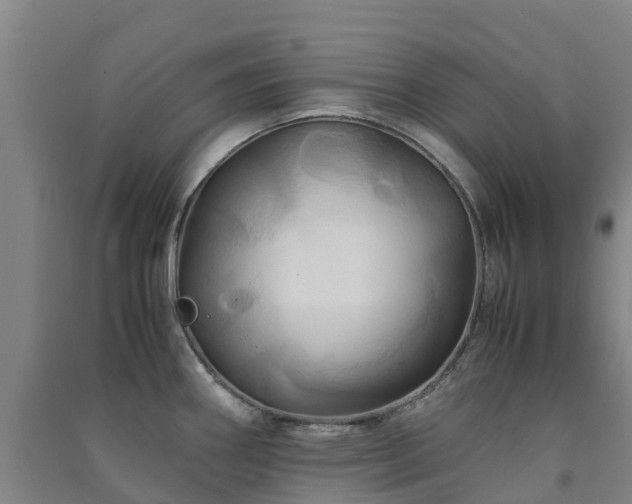 X0000091501290200708161451