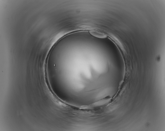X0000091501291200708161451