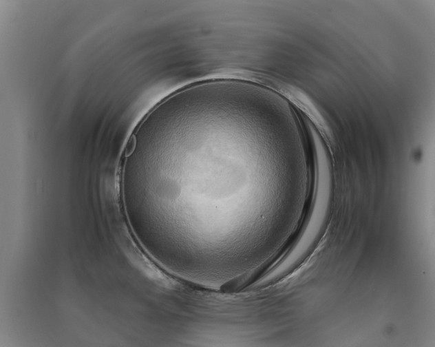 X0000091501292200708161451
