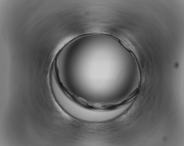 X0000091501293200708161451