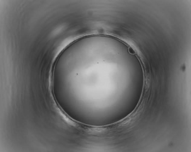 X0000091501294200708161451