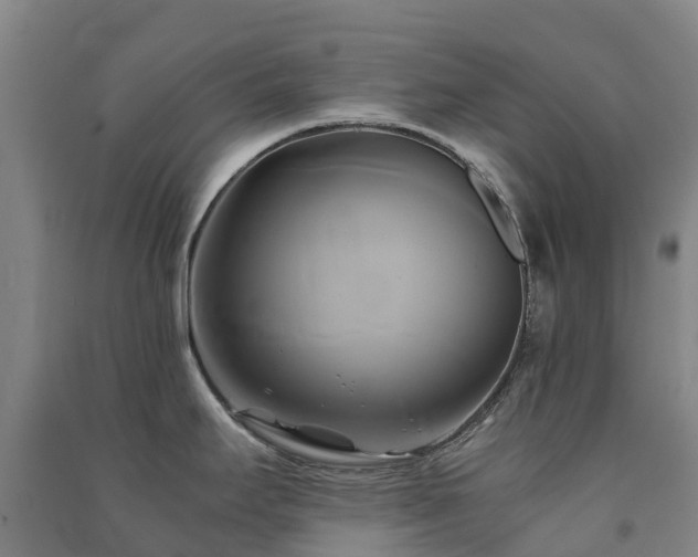 X0000091501295200708161451