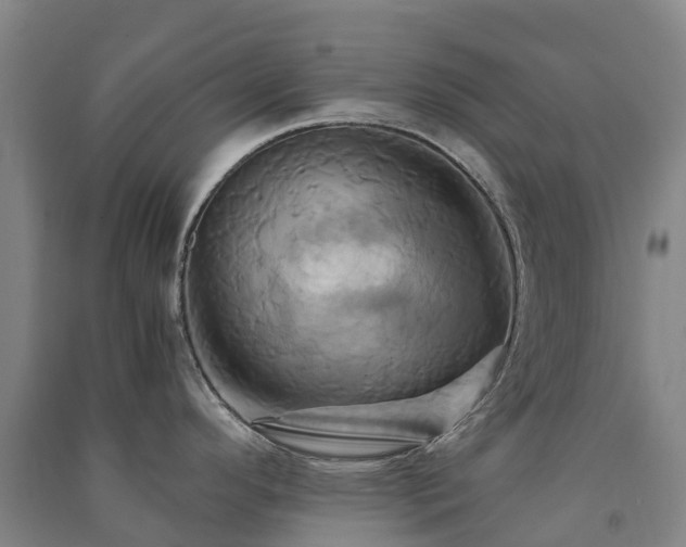 X0000091501296200708161451