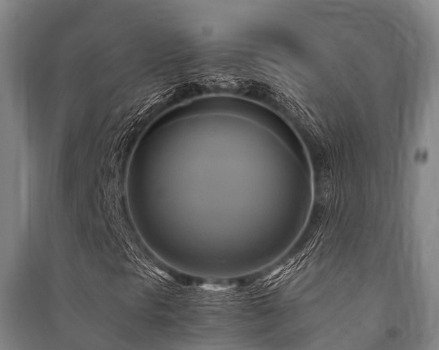 X0000091501297200708161450