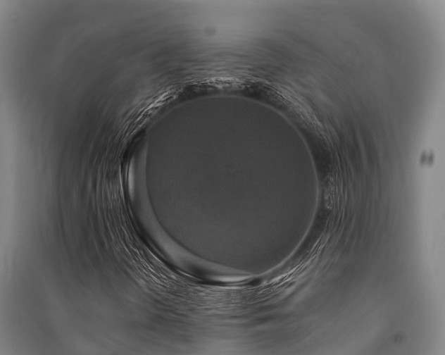 X0000091501298200708161450
