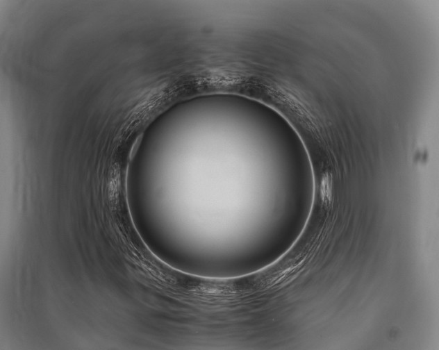 X0000091501299200708161450