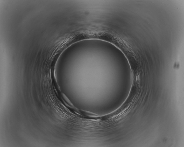 X0000091501300200708161450