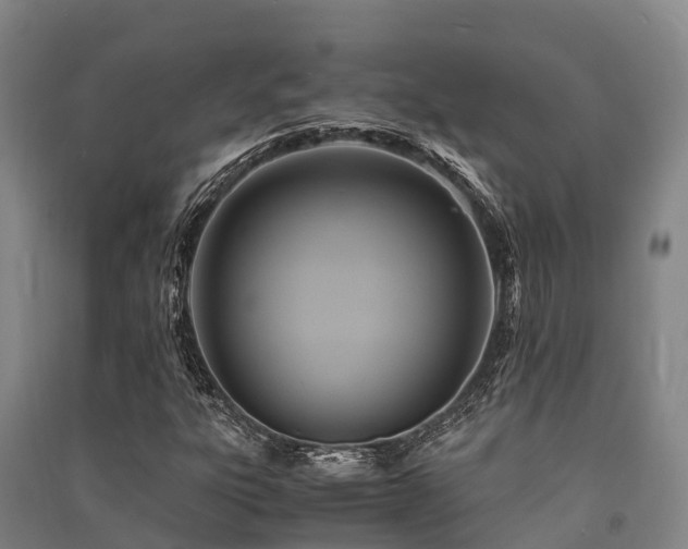 X0000091501303200708161450