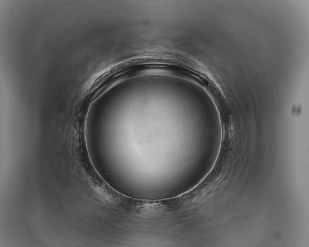 X0000091501304200708161450