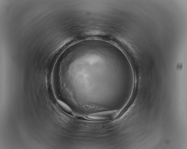 X0000091501305200708161450