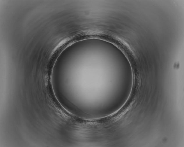 X0000091501306200708161450
