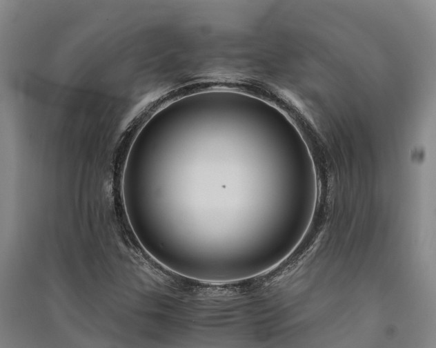 X0000091501307200708161450