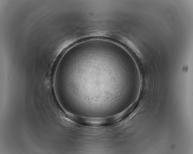 X0000091501308200708161450